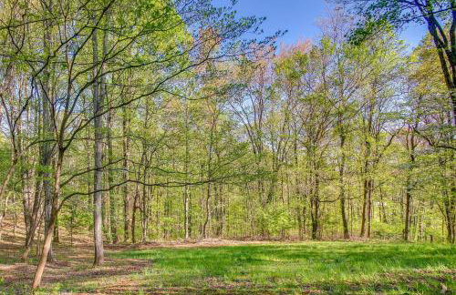 Shenandoah National Park Cabin with Patio! - Foto 23