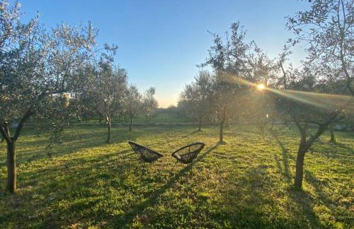 Villa Stanzietta Novigrad for 10 at Olive orchard - Foto 68
