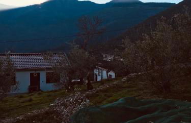 "Casa Do Avô Patrício" Mountain Experience - Foto 3