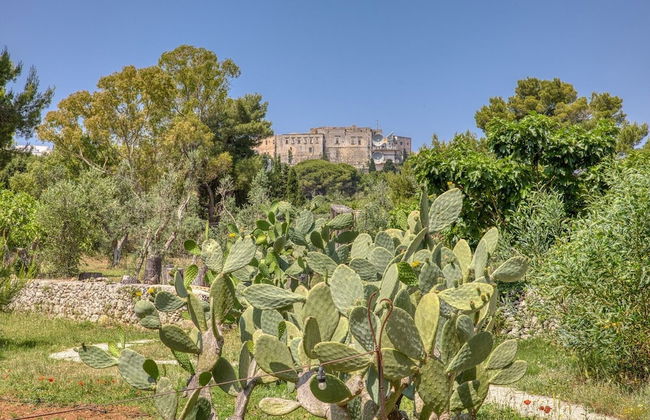 BioMasseria Santa Lucia - Photo 72