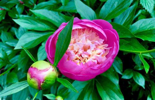 Charming 1914 Craftsman Home - Photo 24