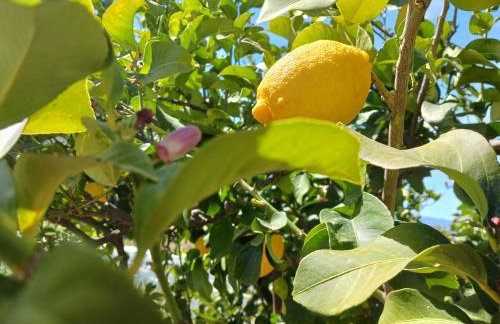 Kleoni's cottage - Foto 44