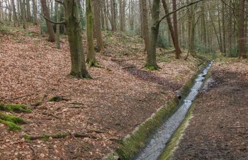 Chestnut Cottage - Foto 19