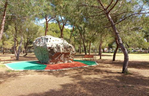 Pine Horizon Family - Photo 22