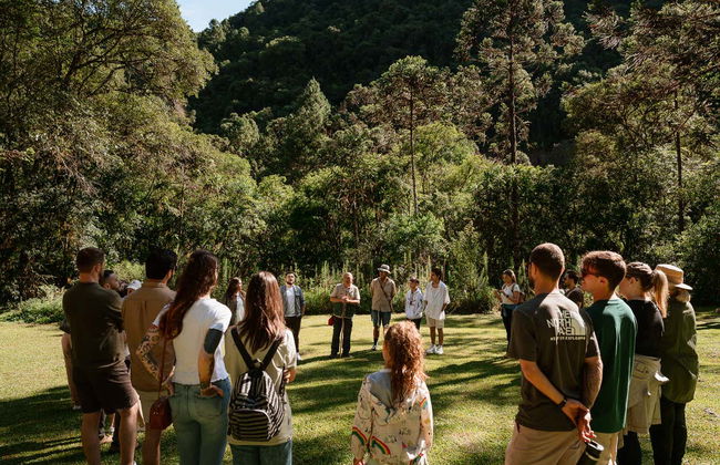 Camión safari + Senderismo hasta la cascada del Caracol - Foto 3
