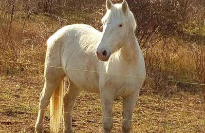 Chez Valéric - Foto 22