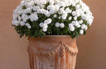 Studio apartman "DJED" - Foto 13