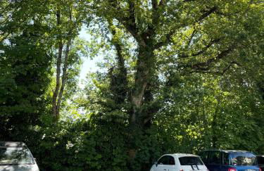 Appartement Très Cosy à 5 min Aéroport Genève - Foto 44