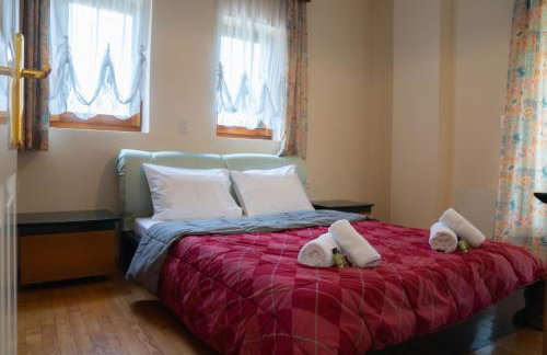 Nikola's Garden - Foto 14