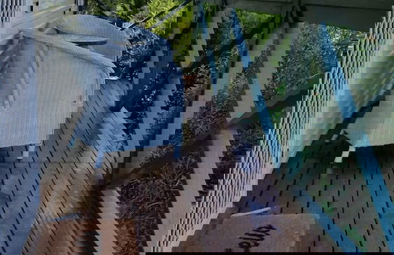 Padthaway Caravan Park - Foto 58