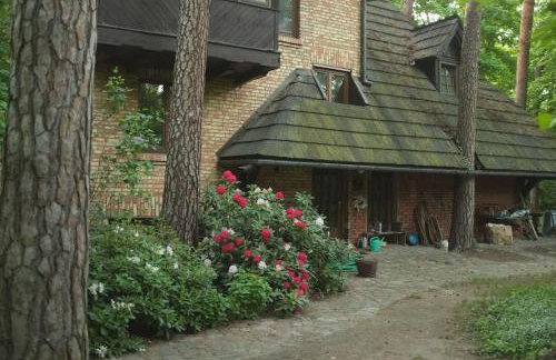 Leśny kasztel pod sosnami. Pokój w koronach drzew. - Foto 14