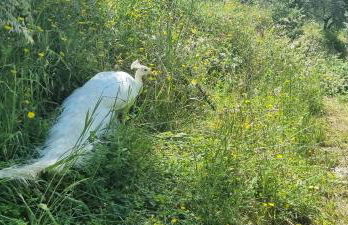 Agriturismo I Millepini - Foto 41