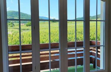 L'Altenberg - Foto 8