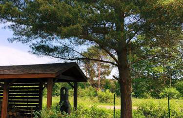 Dom u Kapitana w Lubiatowie - Foto 24