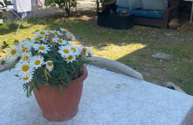 Casa Elisa 10 B - Foto 21