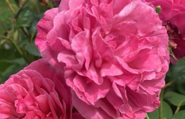 Le Constantin - Charme & confort à 2 pas du centre-ville - Foto 54