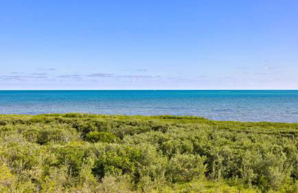 Ocean View Treehouse Double King Suite 3403 - Foto 38