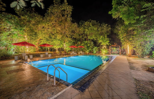 Woodland Sanctuary - Photo 26