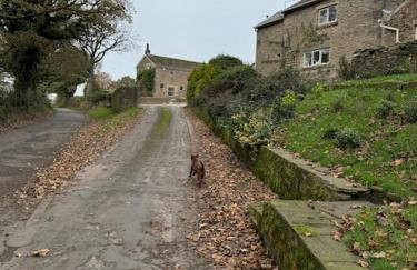 The Retreat - Foto 13