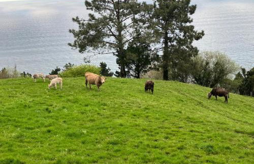 Agroturismo Itxaspe - Foto 21