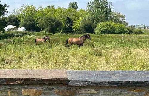 Casa El Reposo - Foto 7