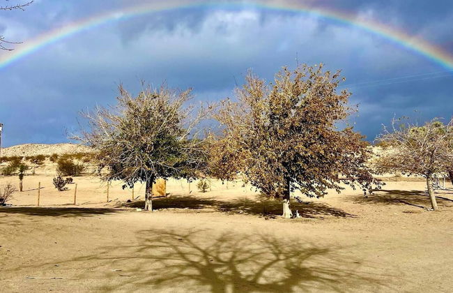 Desert WAY Ranch Oasis Hideaway - Foto 23