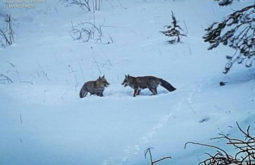 Blue Eyes Centre Free Parking - Foto 31