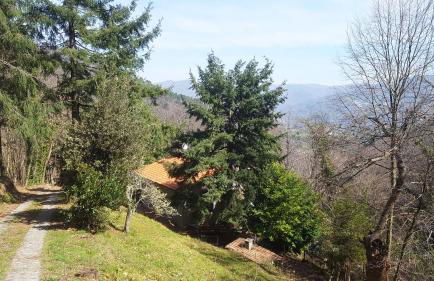 La casa del bosco - Foto 7