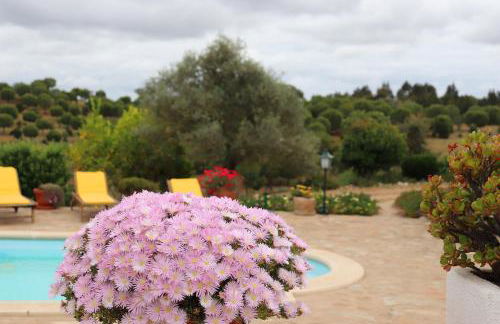 Ninho Da Poupa - Foto 16