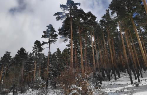 Las Encarnas - Foto 64