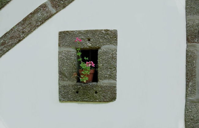 Casa de Alfena - Photo 43