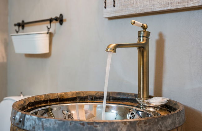 Iosif De Home - Foto 22