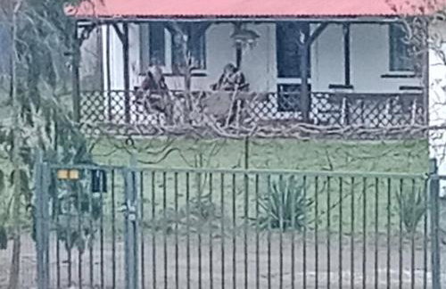 Villa na Krótkiej - Foto 3