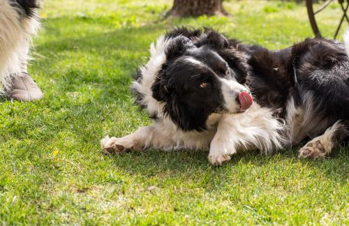Agriturismo Pozzo Fiorito - Foto 129