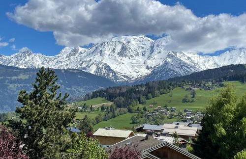 Appartement Luxe comme un Chalet - vue exceptionnelle - Photo 13