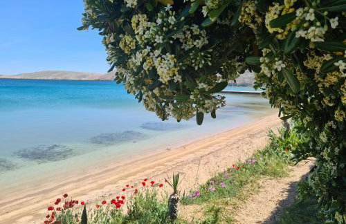 Apartments Simurina - Foto 1