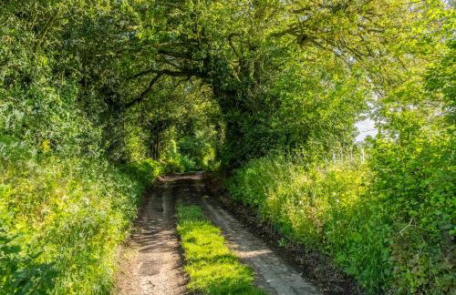 Rural perfection in Constable Country - Beachams Cottage - Foto 36