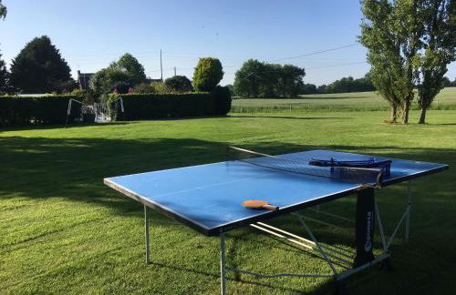 Les Chouettes - Foto 7