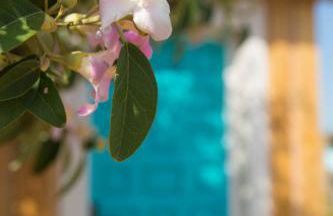 CASA LUNA en Playa de El PALMAR - Foto 20