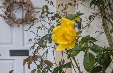 Forge End Cottage Middleham - Photo 22