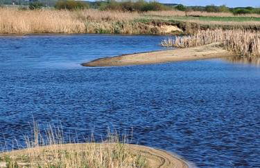 Prywatny Domek koło Tykocina - Foto 24