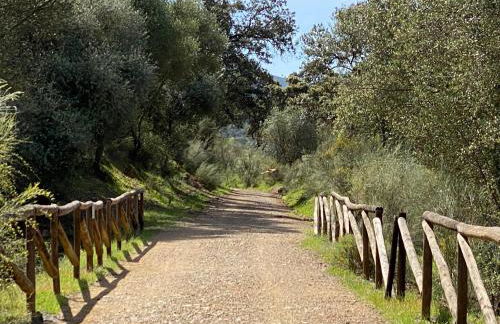 El Capricho - Foto 19