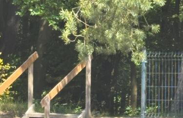 Apartamenty nad morzem Przy klifie 3 Dębina - Foto 35