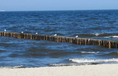 Landhaus Krummin - Foto 13