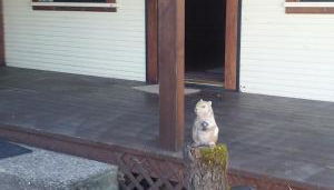 Bungalow on the lake - Foto 4