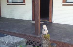 Bungalow on the lake - Foto 4