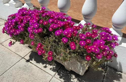 Villa Cecylia - Foto 42