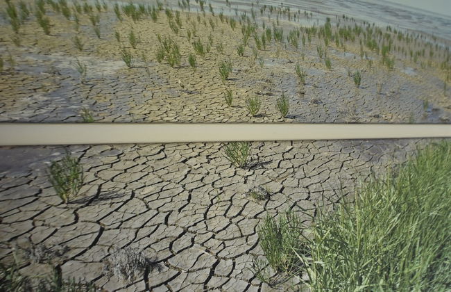 Traditional Villa in Tzummarum near Sea - Foto 22