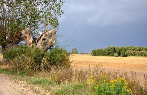 Apartment Battin 44 Uckermark - Foto 60