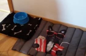 Apartment Lulu - Foto 23